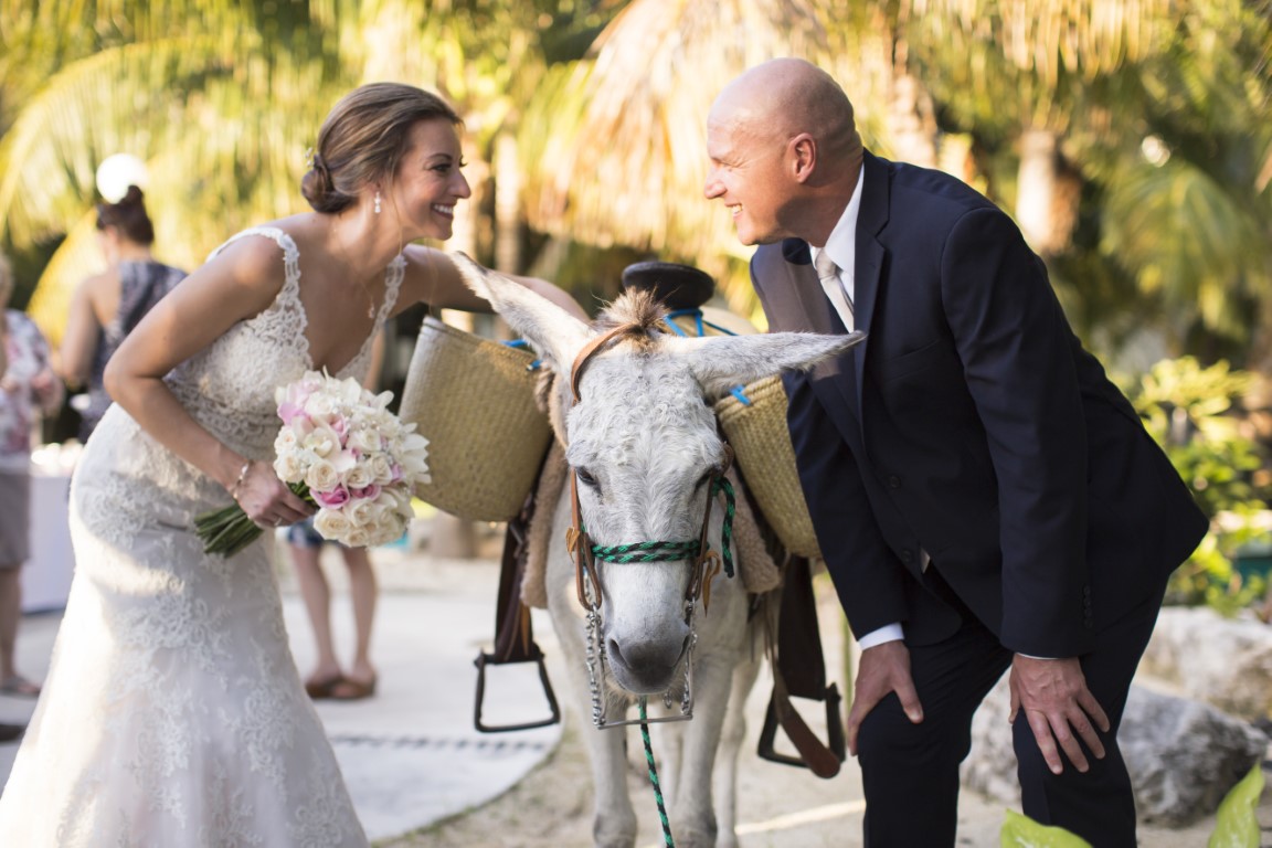 Blog Header Image - The Best Resorts for a Large Destination Wedding