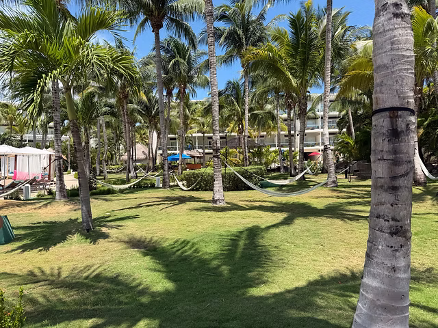 Hammocks among palm trees at Iberostar Selection Riviera Cancun
