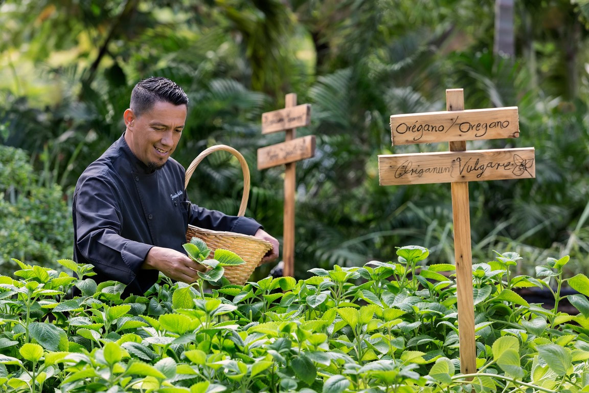 Destination wedding resort variety in the Cancun area